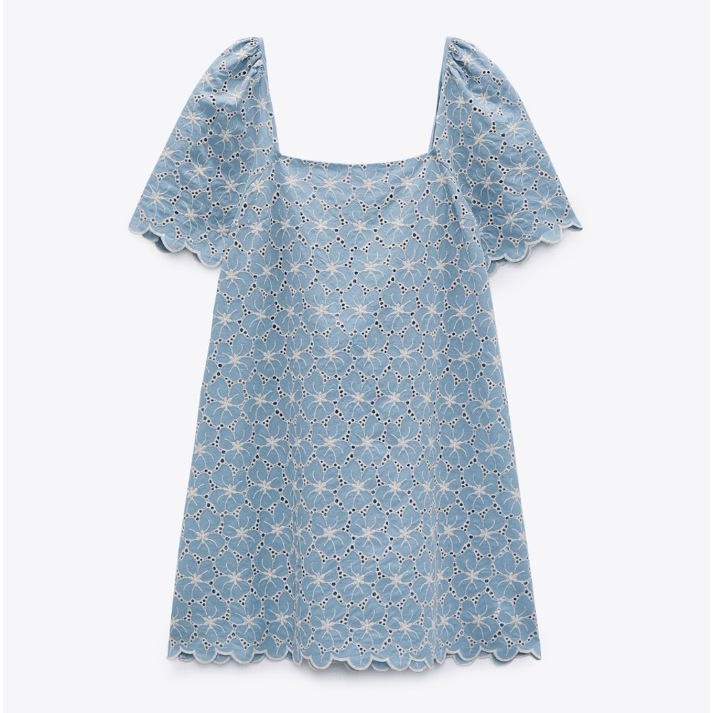 Zara floral embroidered open work dress